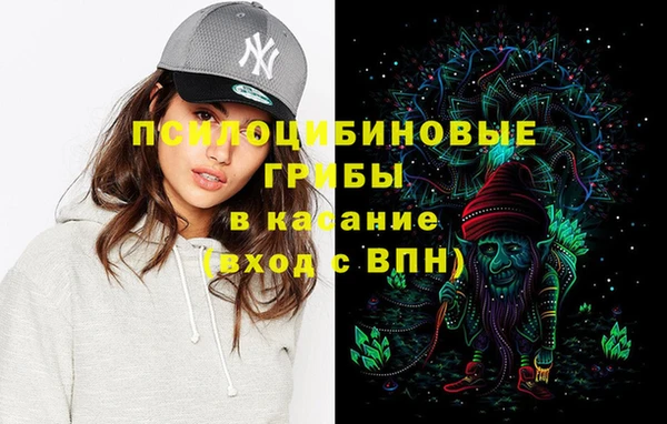 первитин Нея