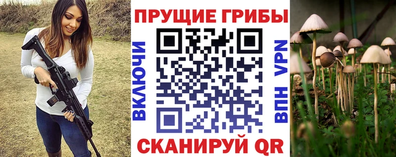 кракен tor  Сим  площадка какой сайт  Галлюциногенные грибы мухоморы 