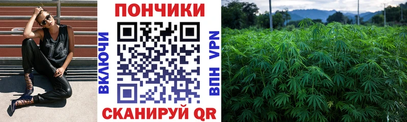 OMG ССЫЛКА  как найти наркотики  Сим  Шишки марихуана индика 